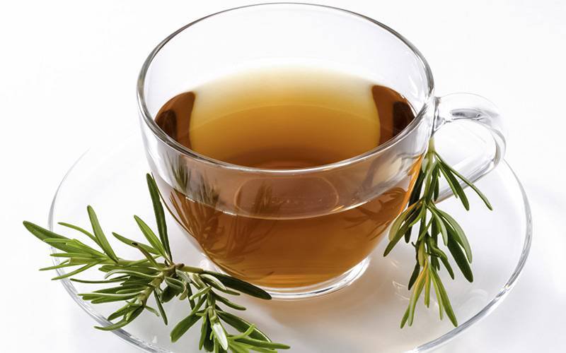 Chá de alecrim pode ajudar a combater queda de cabelo