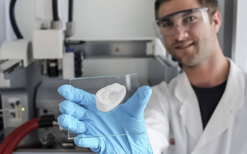 Cientistas criam orelha artificial com base no uso de celulose