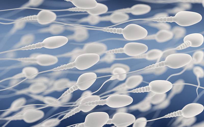Corpo feminino bloqueia espermatozoides mais lentos