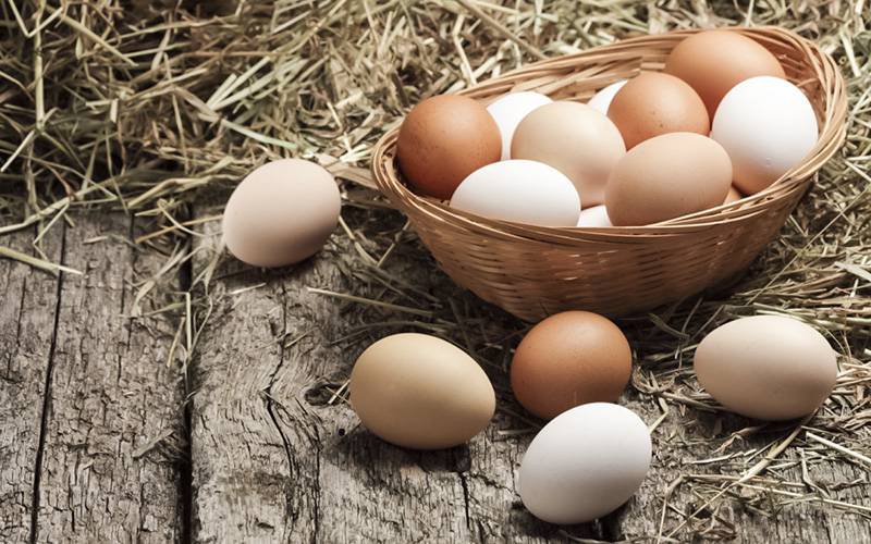 Ovos deveriam ser prescritos para tratar diabetes e demência