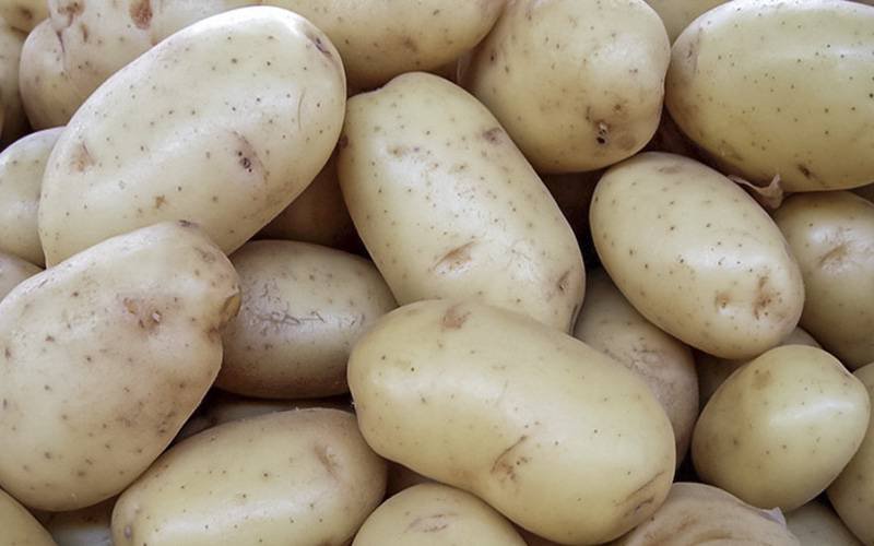 Compostos fenólicos das batatas podem modular resposta glicémica