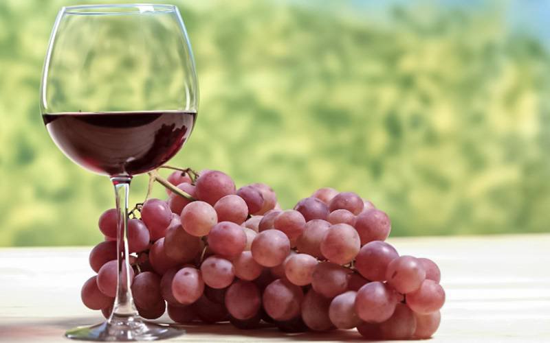 Consumo de uvas e vinho pode regular glicemia