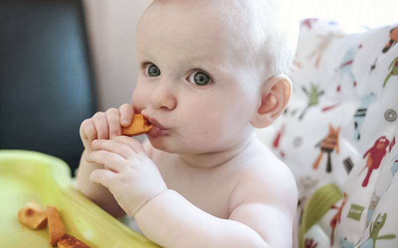 Expor bebés a alimentos sólidos mais cedo pode prevenir alergias