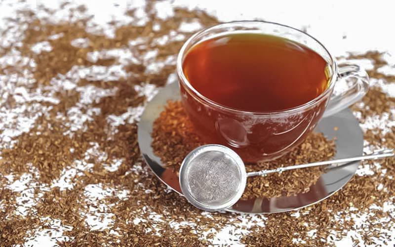 Chá rooibos oferece benefícios surpreendentes para a saúde