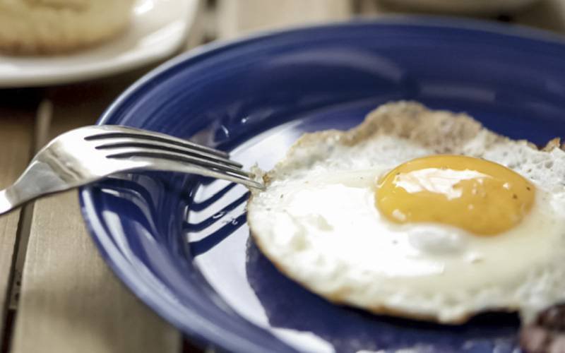 Comer um ovo por dia pode prevenir doenças cardiovasculares