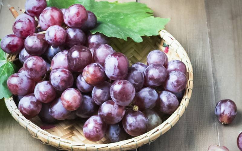 Pele das uvas pode ser usada como corante alimentar natural