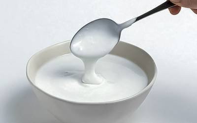 Probióticos e iogurte podem proteger contra parasitas