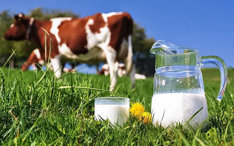 Base de dados gratuita revela todos os componentes do leite