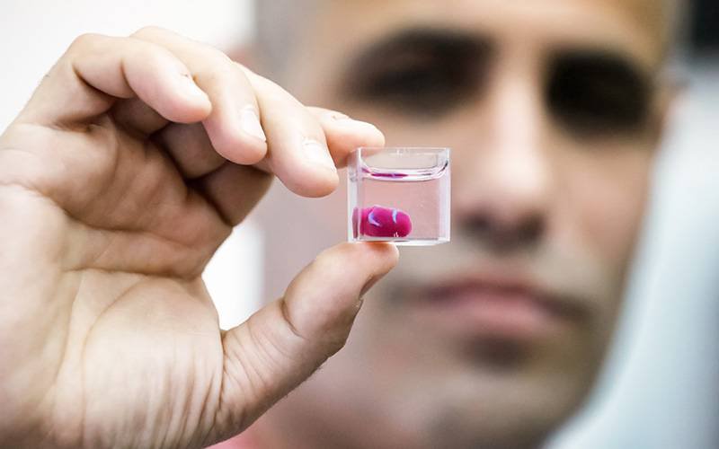 Cientistas fazem impressão 3D de coração a partir de tecidos humanos