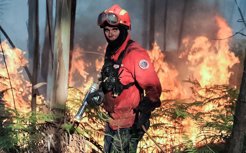 Fumo dos incêndios florestais afeta gravemente saúde dos bombeiros