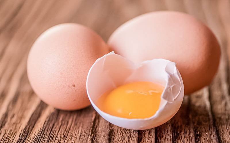 Consumo diário de ovos não prejudica saúde cardiovascular