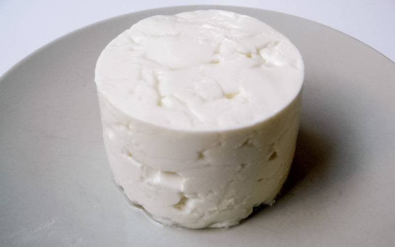 Conheça os benefícios de comer queijo fresco