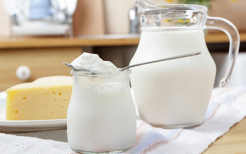 Leite e produtos lácteos ajudam na prevenção de doenças crónicas