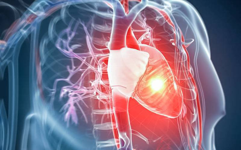 Níveis elevados de ferro podem melhorar saúde cardiovascular