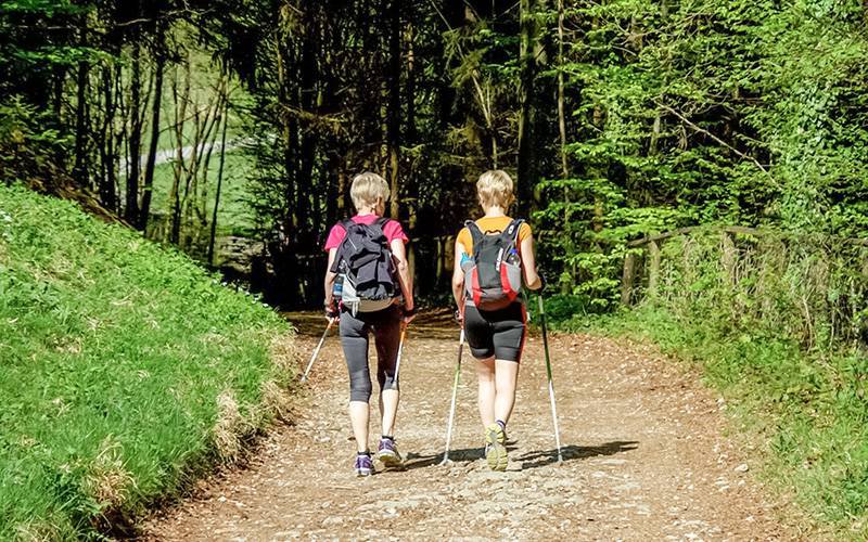 “Caminhada nórdica” pode fornecer múltiplos benefícios