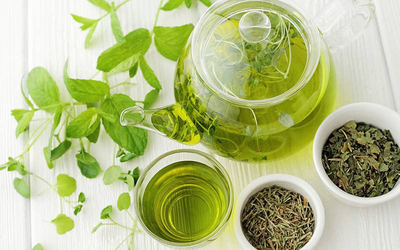 Chá verde beneficia saúde intestinal