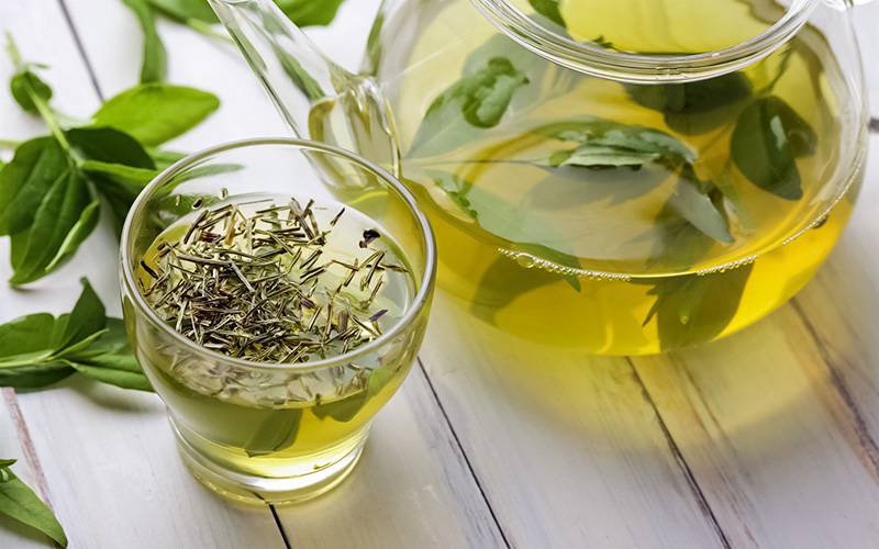 Chá verde melhora saúde intestinal