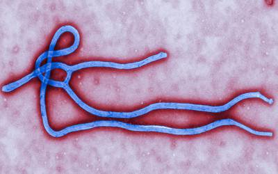 OMS declara Emergência Global por causa do Ébola