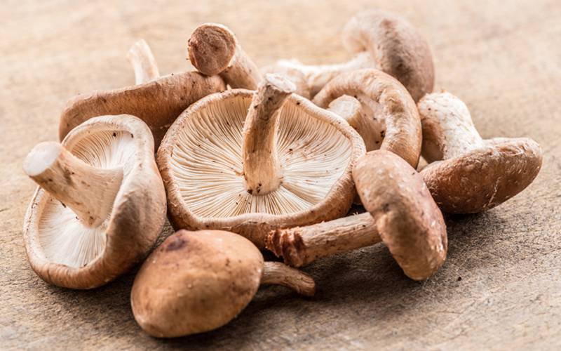 Cogumelos diminuem risco de cancro da próstata