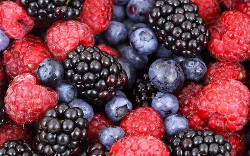 Dieta rica em flavonoides protege contra cancro e doenças cardíacas