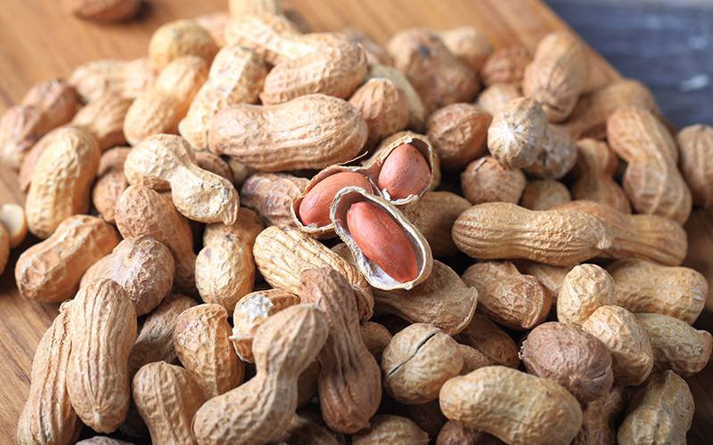 Pequenas doses de amendoim ajudam a prevenir reações alérgicas