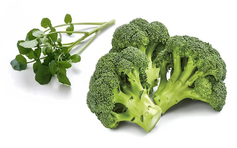 Agrião e brócolos podem ajudar na prevenção e tratamento do cancro