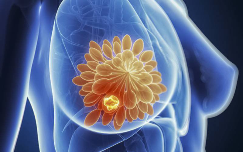 Campanha “saBeR mais ContA” sensibilização para o cancro da mama