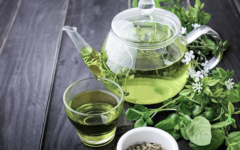 Chá verde pode diminuir resistência de bactérias a antibióticos