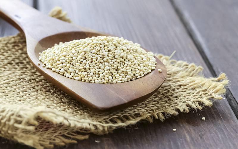 Descubra os benefícios da quinoa para a saúde