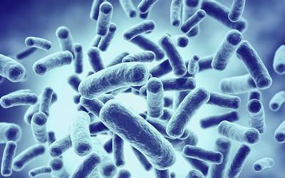 Microbiota saudável promove saúde intestinal