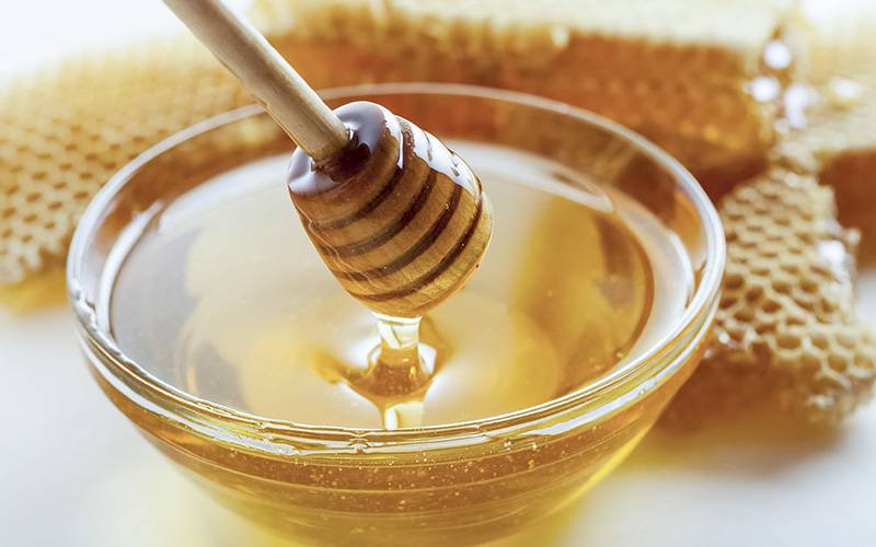 Novas proteínas do mel responsáveis ​​por benefícios antimicrobianos