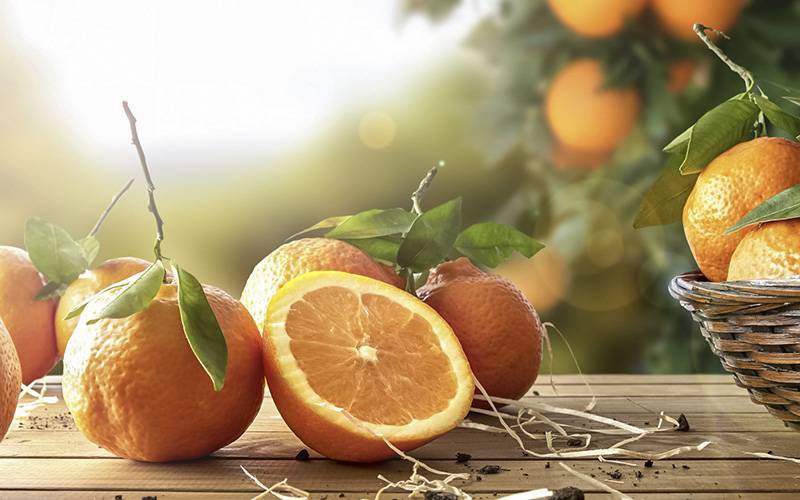 Todas as partes da laranja fornecem benefícios para a saúde