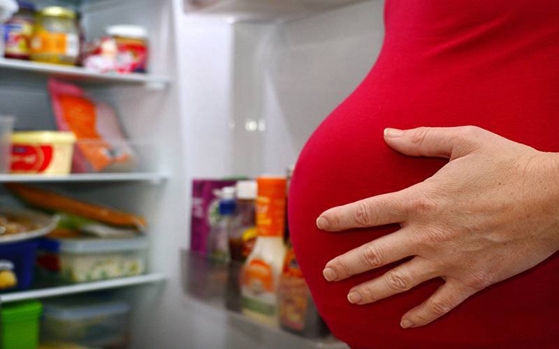 Dieta materna rica em gordura pode causar danos cerebrais no feto