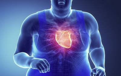 Obesidade reduz eficácia de medicamentos cardiovasculares