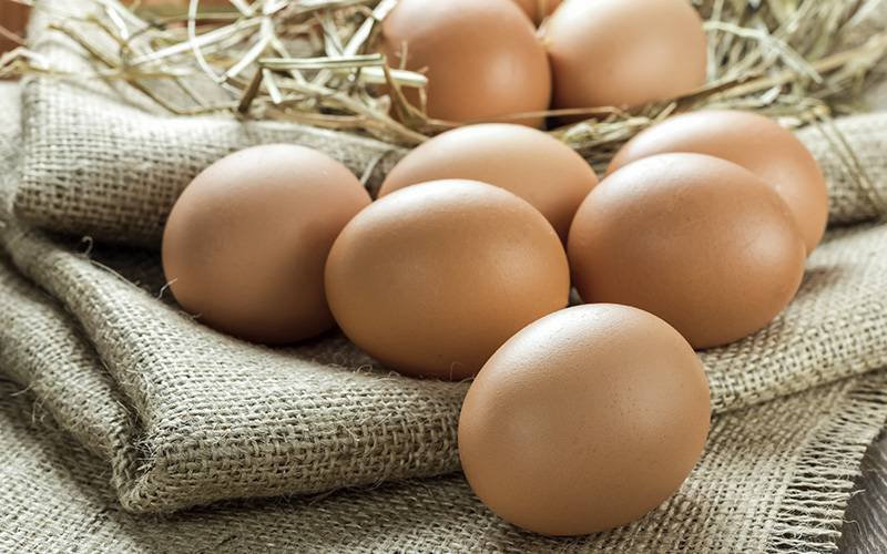 Ovos não estão associados a risco de problemas cardiovasculares