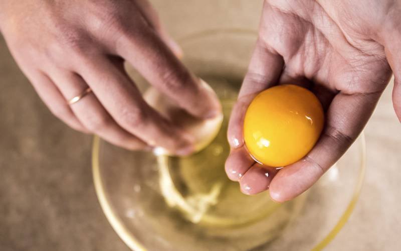 Descubra os benefícios da gema de ovo para a saúde