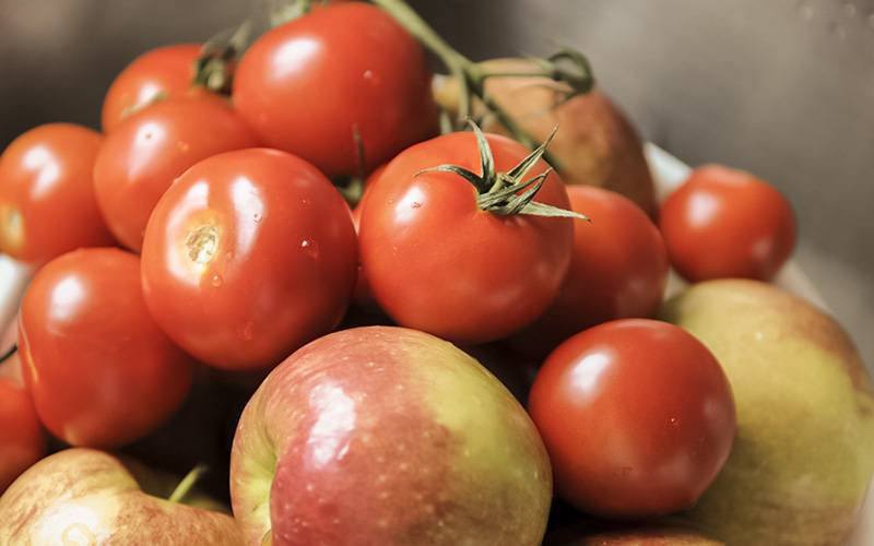 Maçãs e tomates podem reparar danos pulmonares