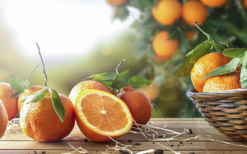 Descubra os benefícios da laranja para a saúde