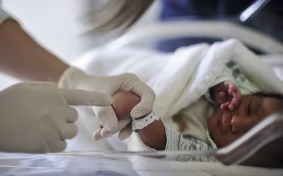 Nasceram mais 537 bebés em 2019 em Portugal