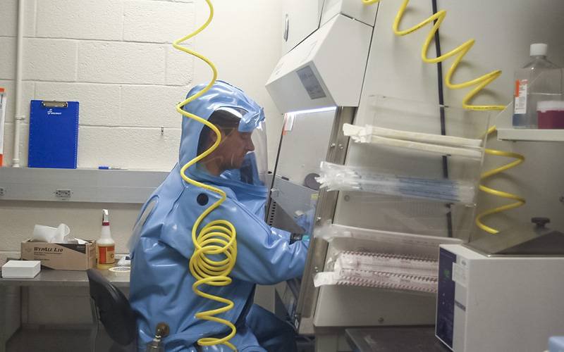Descobertos anticorpos eficazes contra estirpe do vírus Ébola
