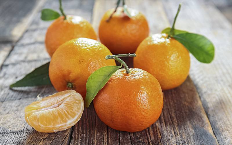 Descubra os benefícios para a saúde do consumo de clementinas