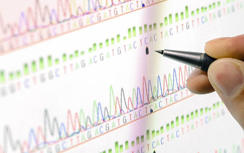 Identificados novos genes de cancro familiar