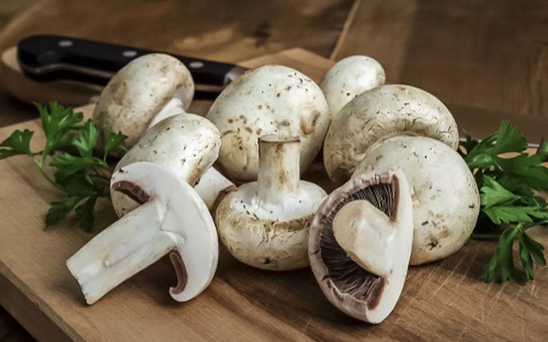 Ingestão de cogumelos diminui risco de cancro da próstata