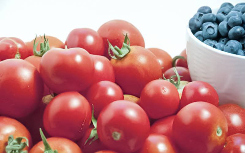 Tomates e bagas podem diminuir incidência de cancro