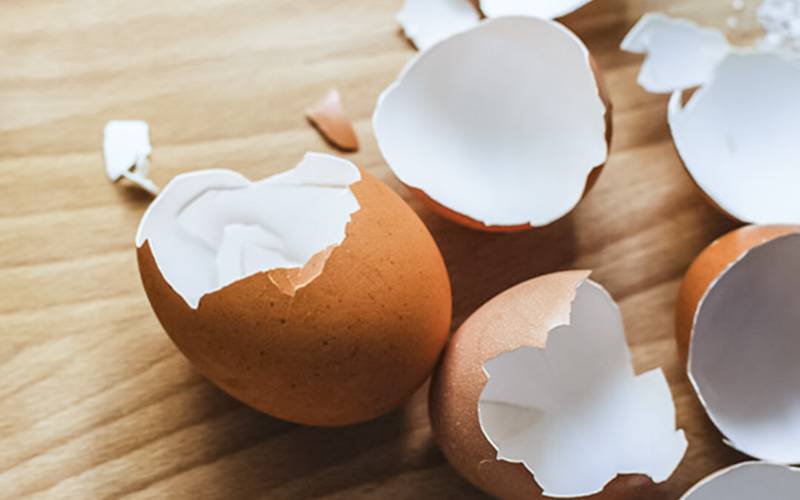 Casca dos ovos pode ser usada para tratar a pele