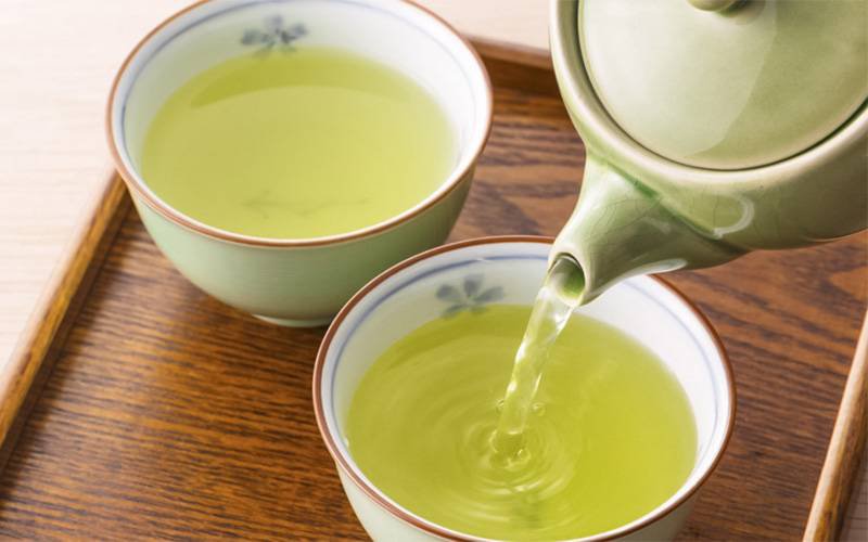 Chá verde melhora função cerebral