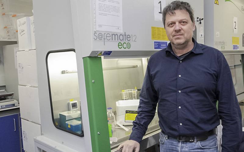 Cientista da UA vence bolsa para trabalhar na regeneração óssea