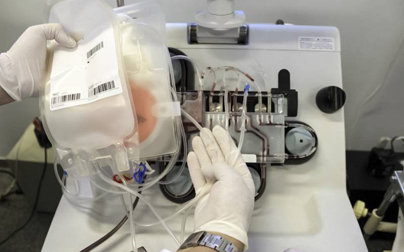 Cientistas brasileiros desenvolvem anticorpos para tratar COVID-19