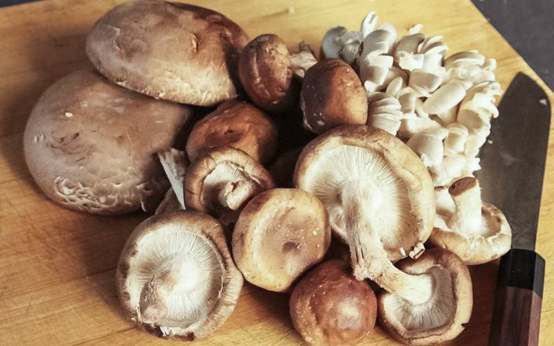 Cogumelos podem ser uma fonte de vitamina D