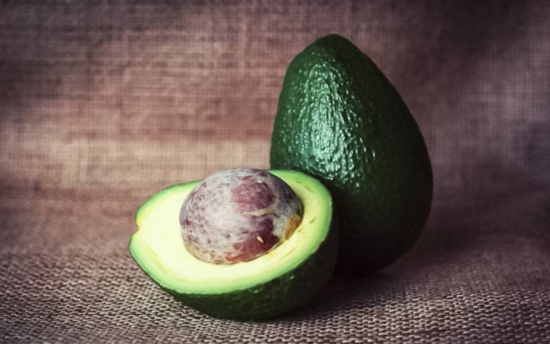 Consumo de abacate pode reduzir níveis de colesterol LDL